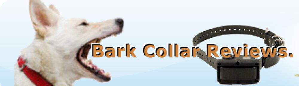 Bark Collar Reviews